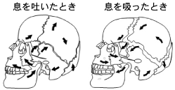 �o�����X���́@���x���N�@�E�}�T�S�����@